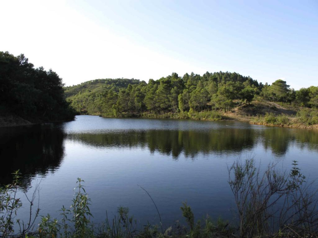 Вилла Quinta Do Freixo Benafim Экстерьер фото